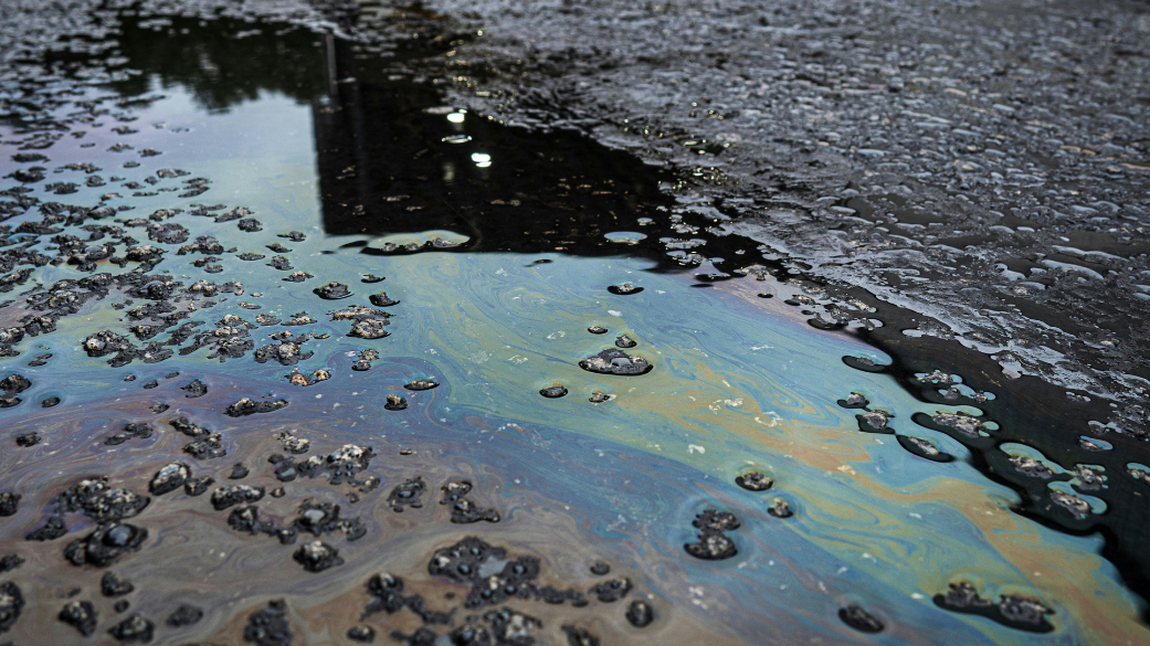 You are currently viewing CSR vs. ELSC: Two Microbial Products, Two Different Jobs